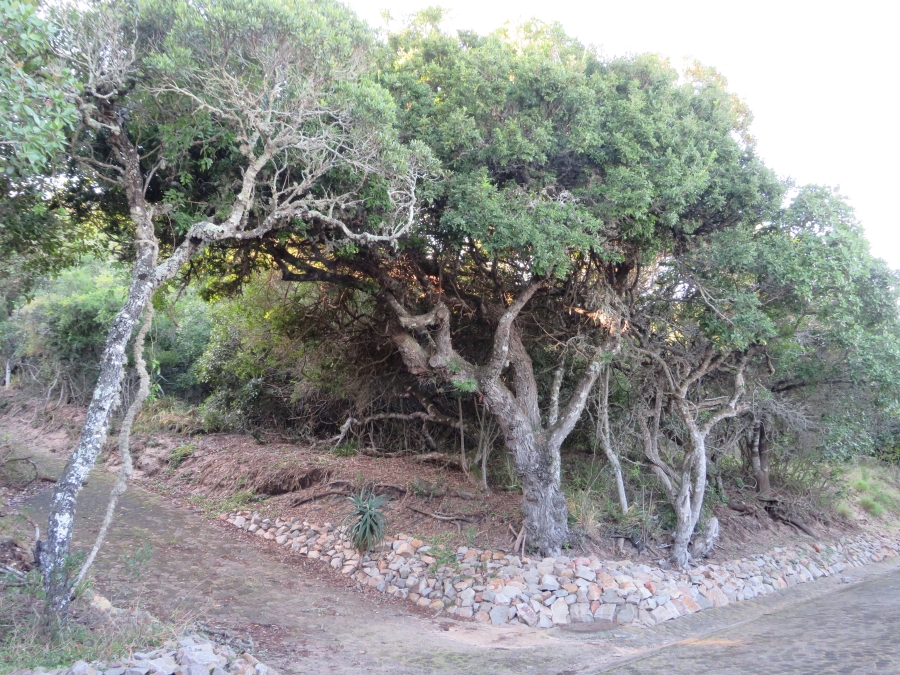 0 Bedroom Property for Sale in East Bank Eastern Cape